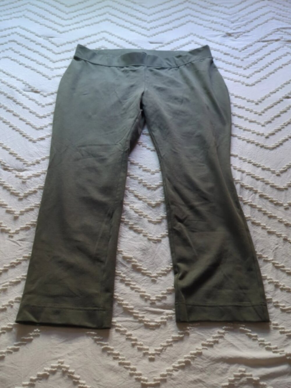 Lands' End Starfish Slim Leg Pants in Forest Moss Size 2X